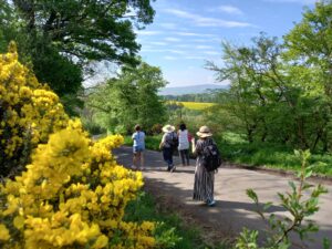 Four ladies walking down a hill with views of yellow fields