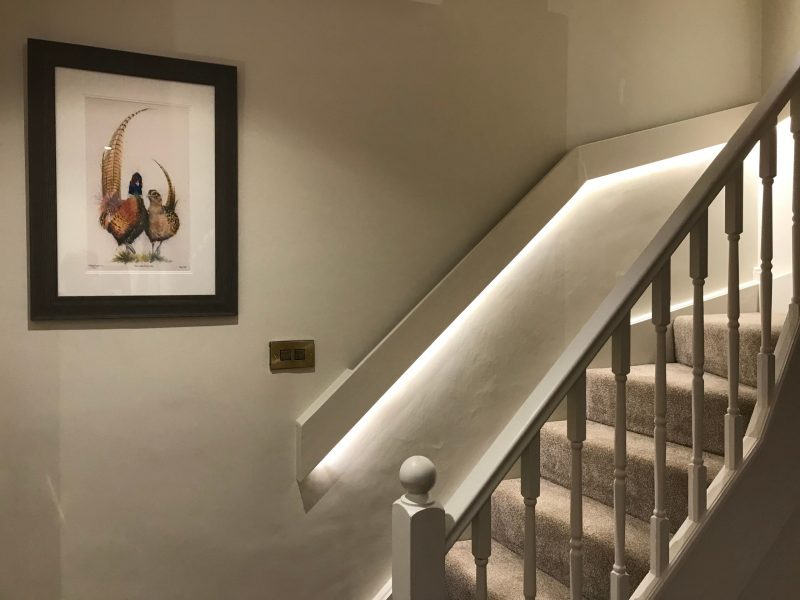 Pheasant painting in the hall way