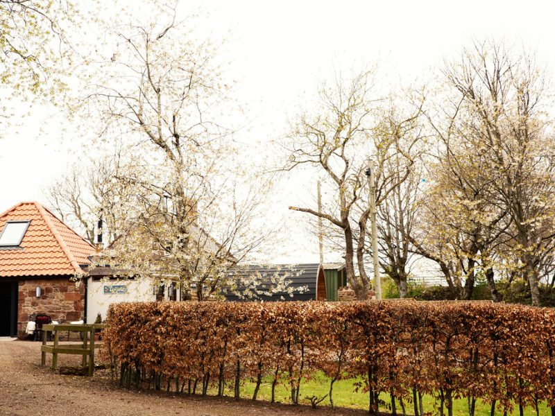 Outdoors at Carfrae farm shop